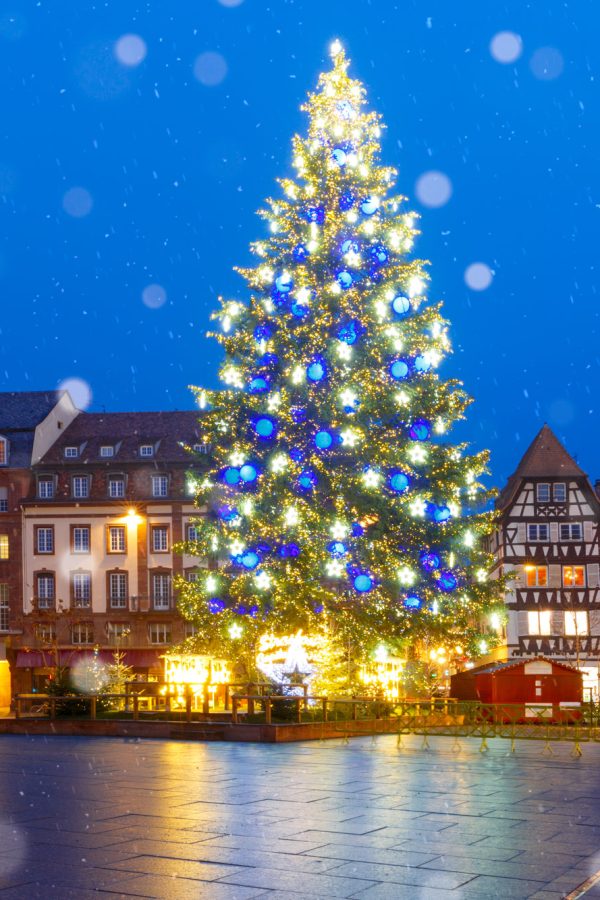 christmas-tree-in-strasbourg-alsace-france