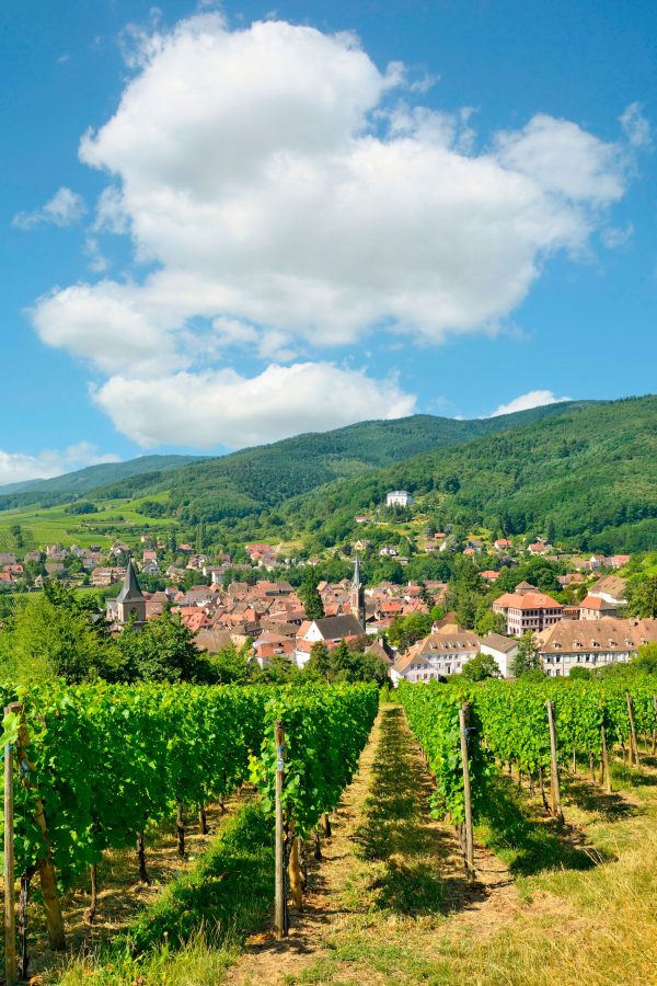 famous-wine-village-of-ribeauville-in-alsace-france2