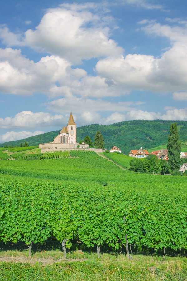 wine-village-of-hunawihr-grand-est-region-former-alsace-france